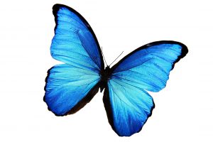 Воздушные бабочки