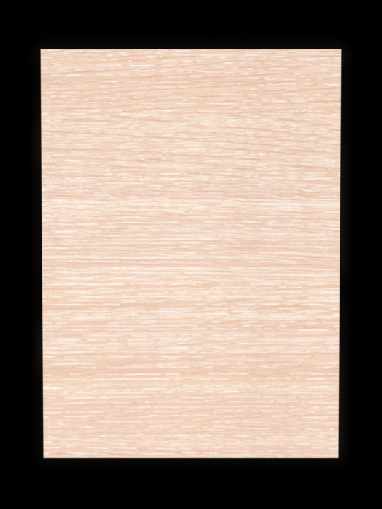 Дуб белёный